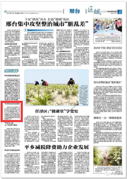 合金装备5