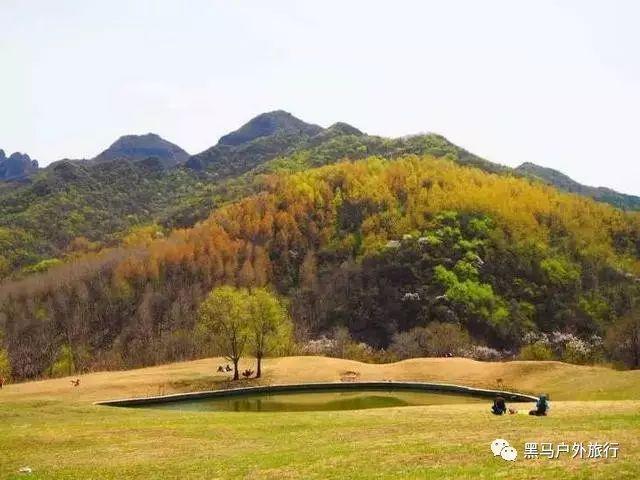 沐浴阳光，吕文扬的澳门黑沙海滩漫步