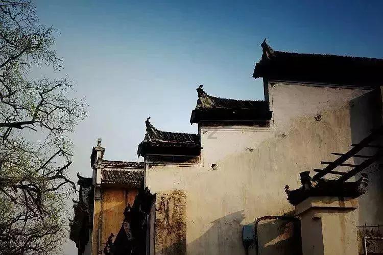 68岁周润发参加半马2小时26分完赛!他说如果跑进2小时就挑战全马,要跑到90岁
